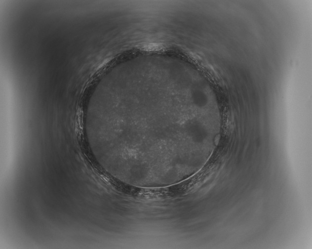 X0000113141301200909110926