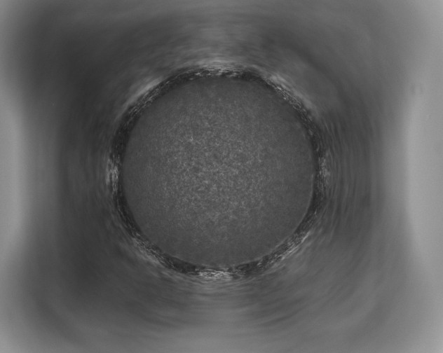 X0000113141302200909110926