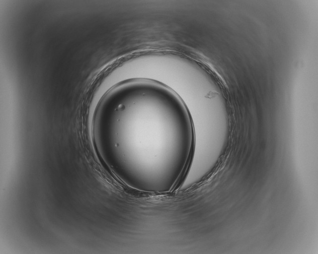 X0000113141304200909110926