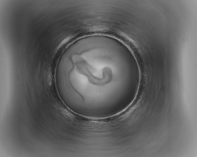 X0000113141306200909110926