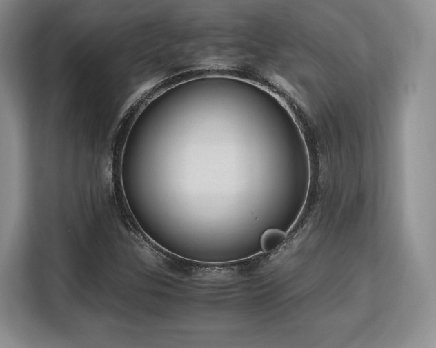 X0000113141307200909110926