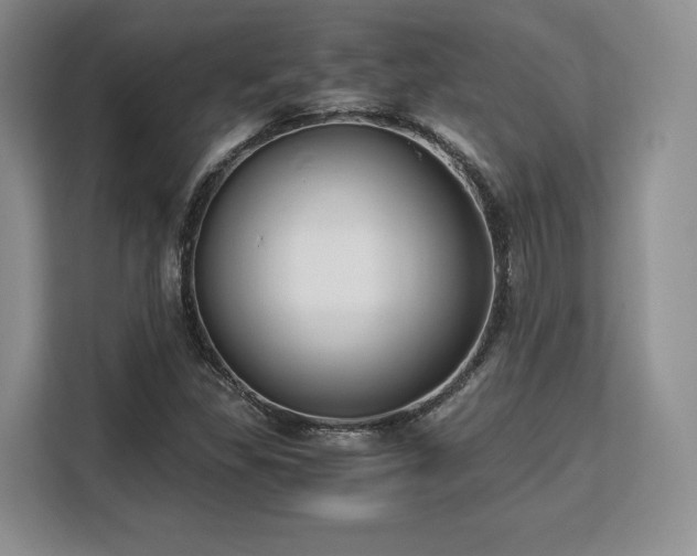 X0000113141309200909110926