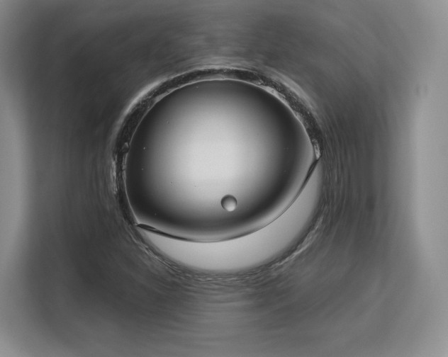 X0000113141310200909110926