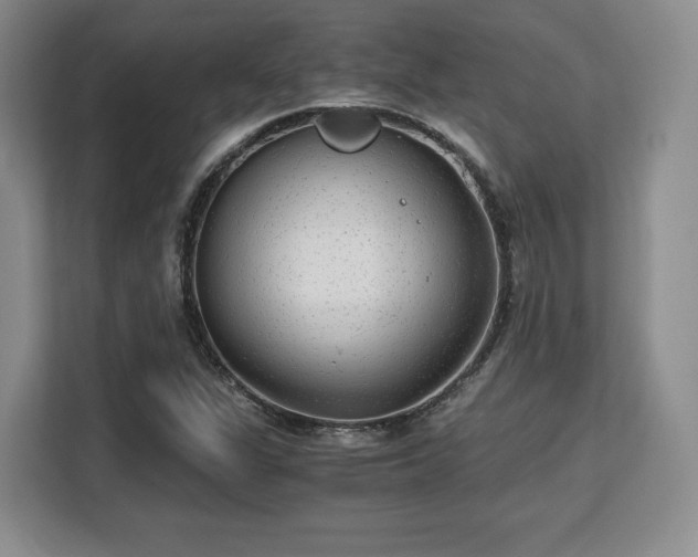 X0000113141311200909110926