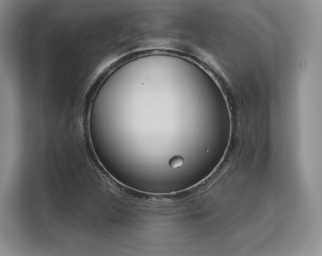 X0000113141312200909110926