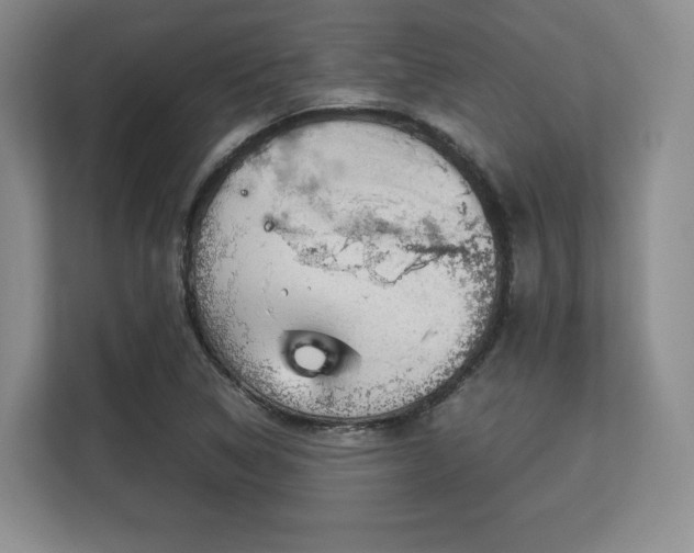 X0000113141314200909110926