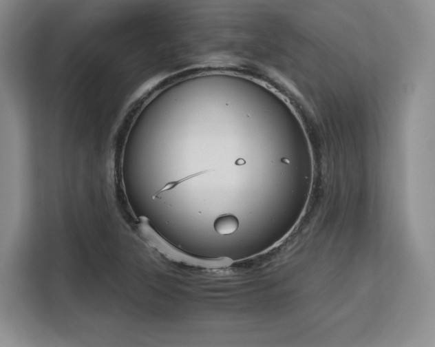 X0000113141315200909110926