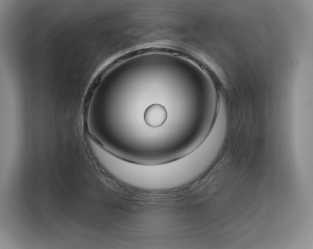 X0000113141316200909110926