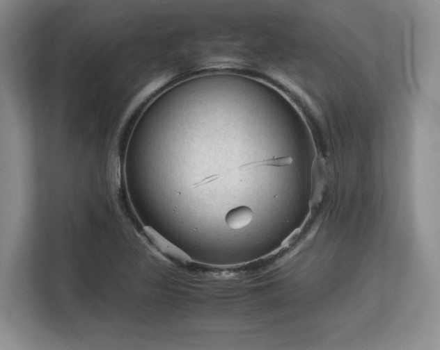 X0000113141317200909110926