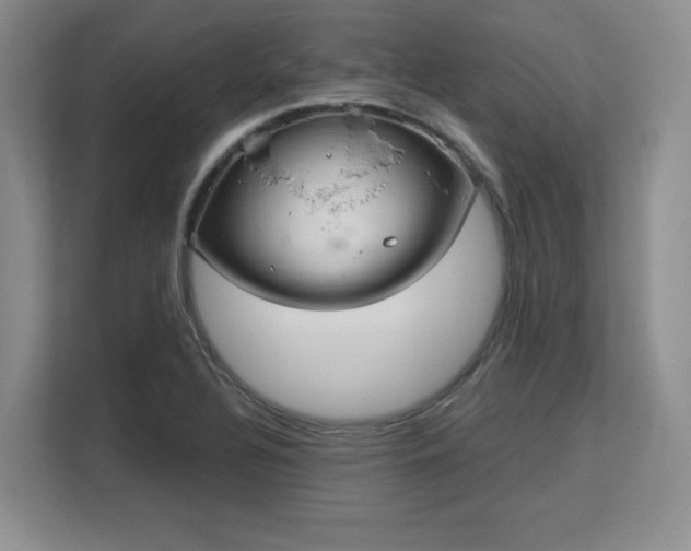 X0000113141320200909110926