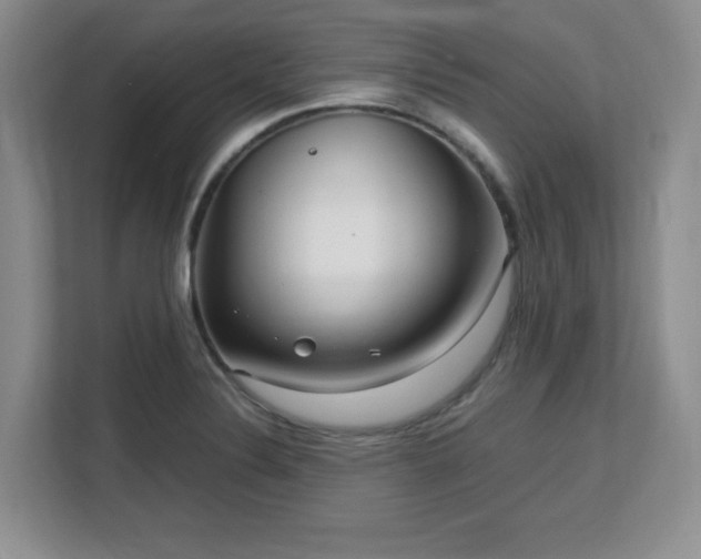 X0000113141324200909110926