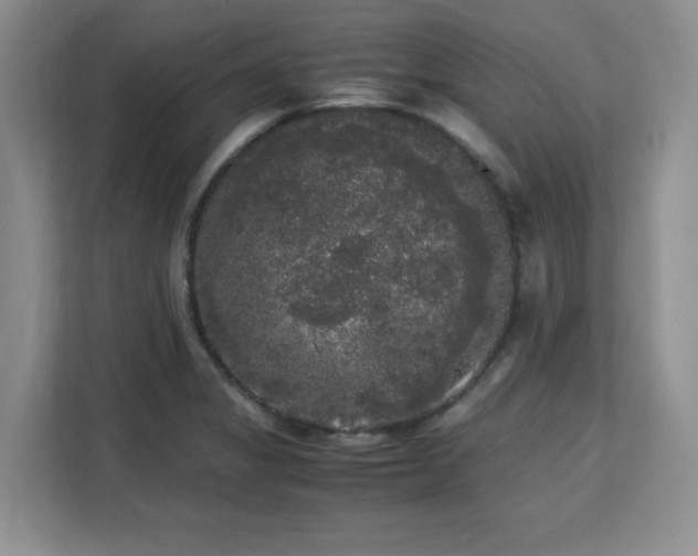 X0000113141325200909110926