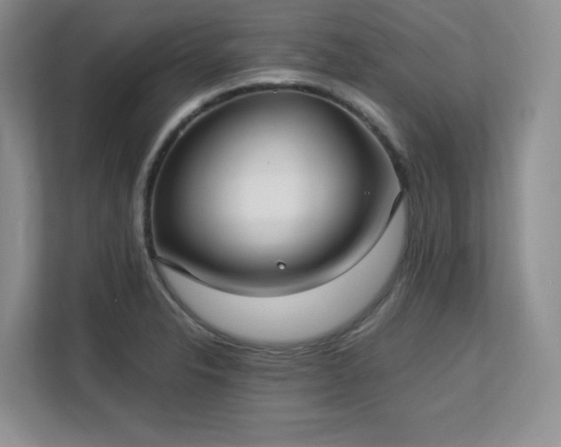 X0000113141326200909110926