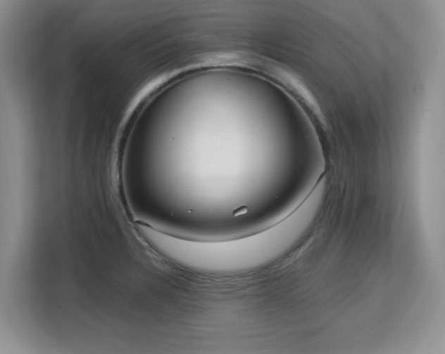 X0000113141328200909110926