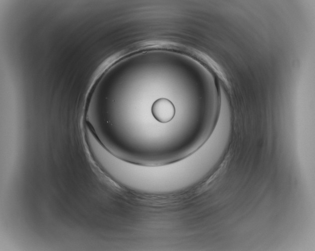 X0000113141330200909110926