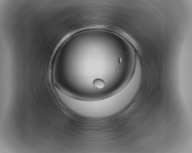 X0000113141332200909110926