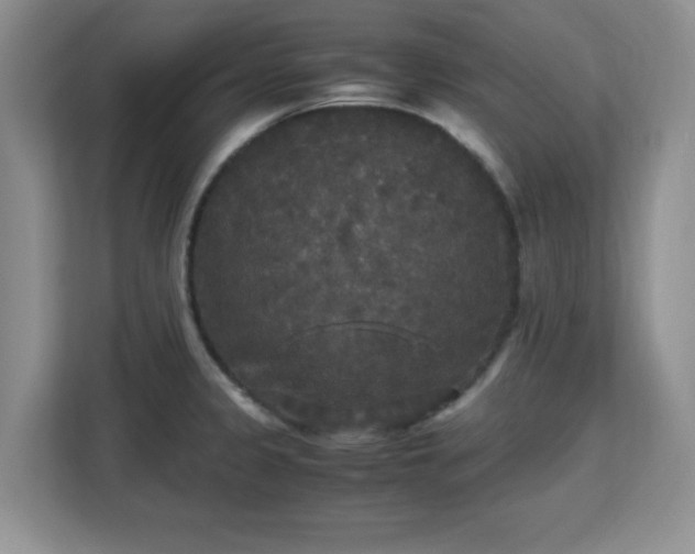 X0000113141333200909110926