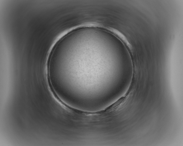 X0000113141335200909110926