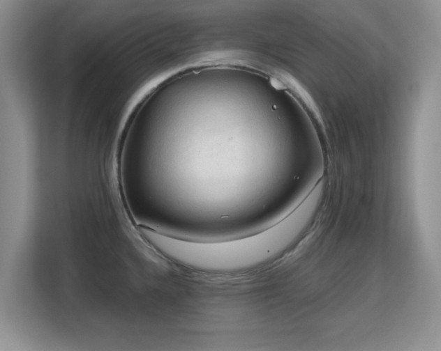 X0000113141336200909110926