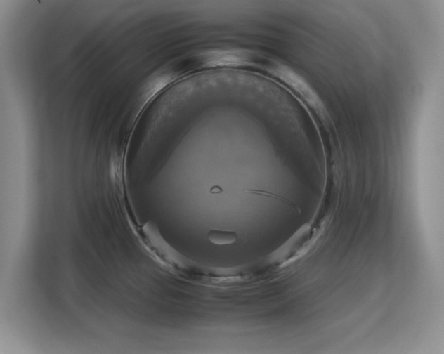 X0000113141337200909110926