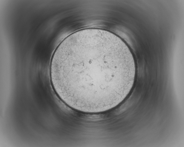 X0000113141338200909110926