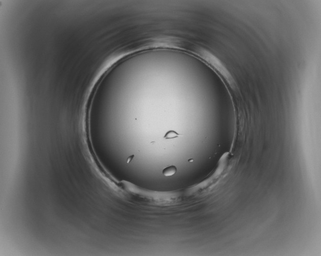 X0000113141339200909110926