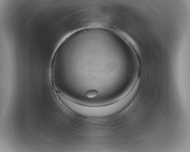 X0000113141340200909110926