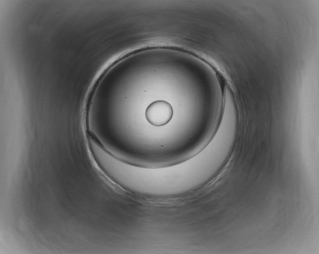 X0000113141342200909110926