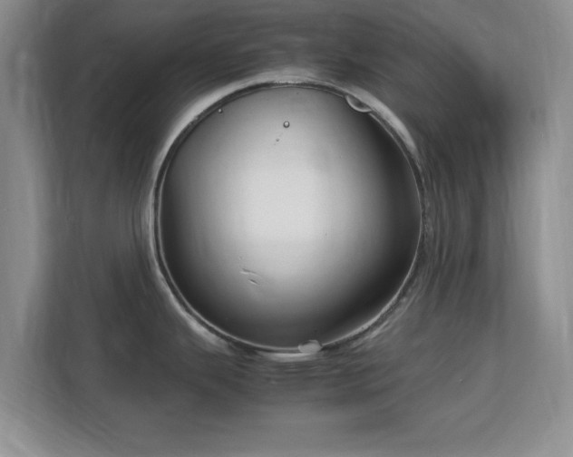 X0000113141343200909110926