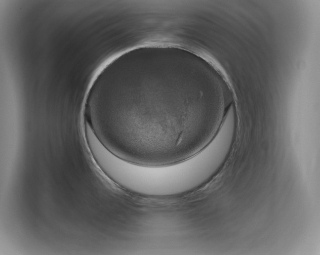 X0000113141344200909110926