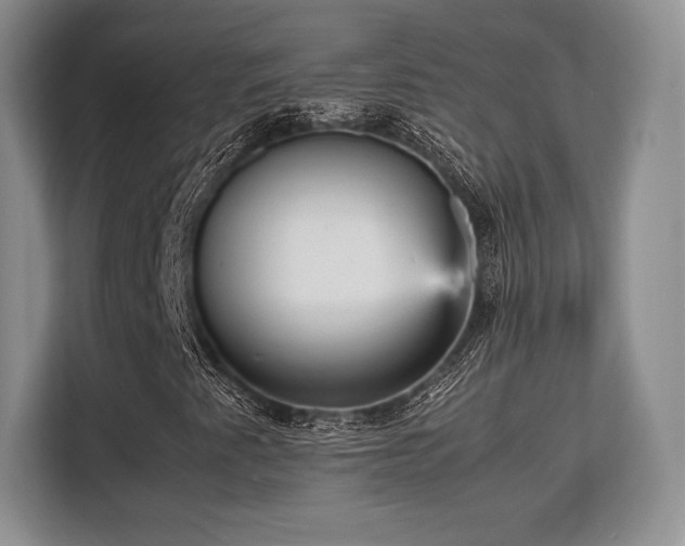 X0000113141345200909110926