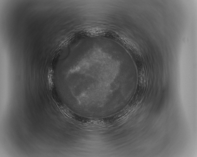 X0000113141346200909110926