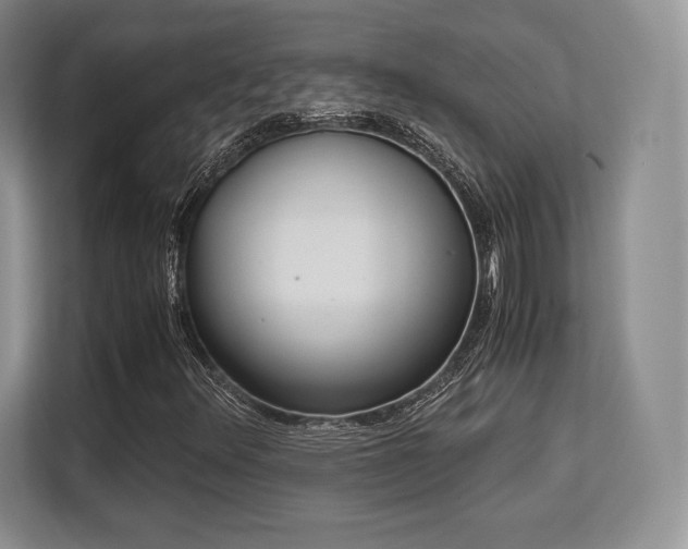 X0000113141348200909110926