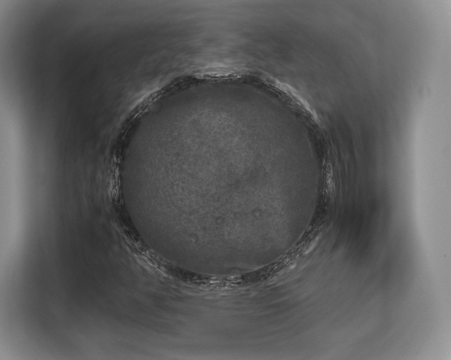 X0000113141350200909110926