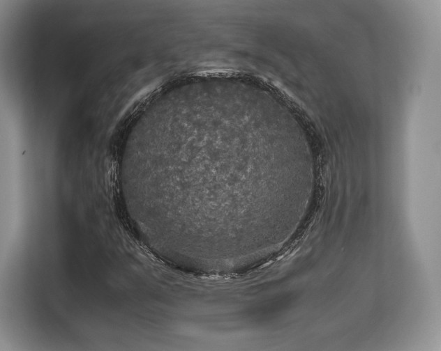 X0000113141351200909110926