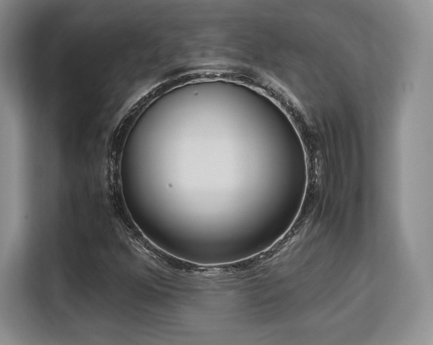 X0000113141352200909110926