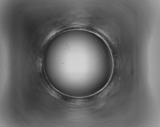 X0000113141355200909110925