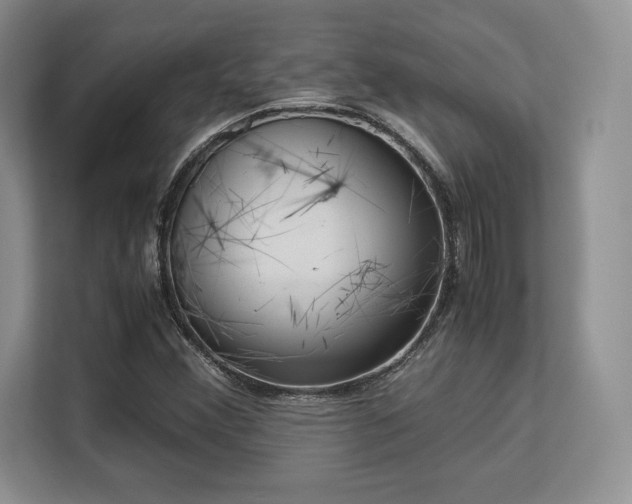 X0000113141356200909110925