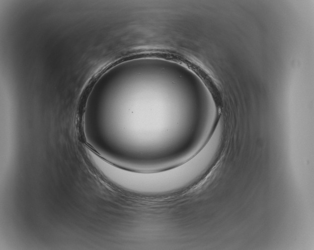 X0000113141357200909110925