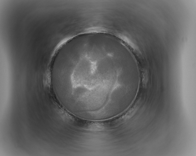 X0000113141358200909110925