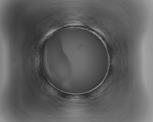 X0000113141359200909110925