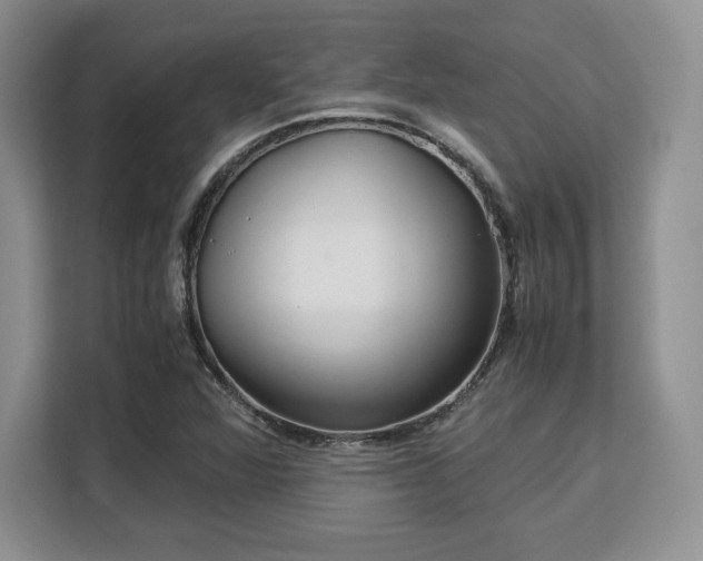 X0000113141360200909110925