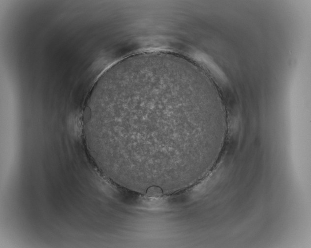 X0000113141361200909110925