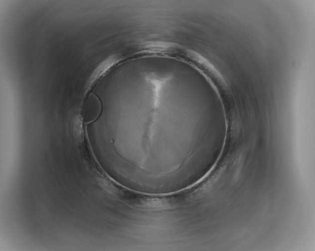 X0000113141362200909110925