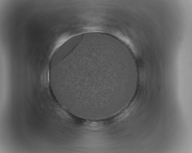 X0000113141365200909110925