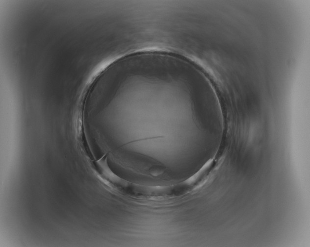 X0000113141367200909110925