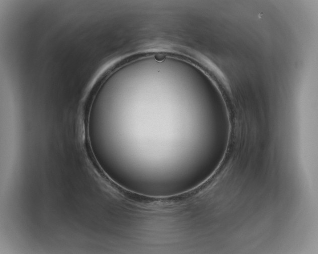 X0000113141368200909110925