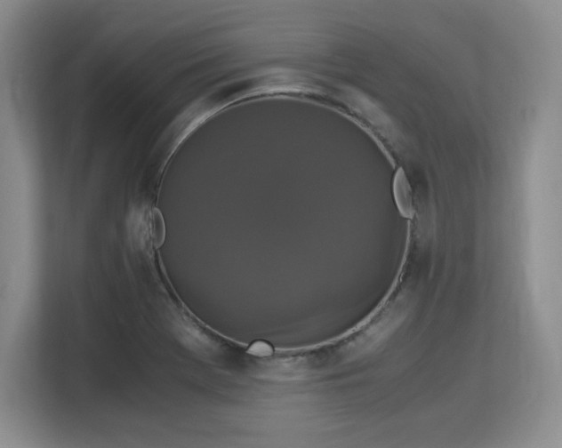 X0000113141369200909110925