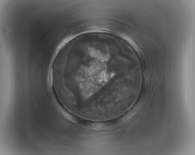 X0000113141371200909110925