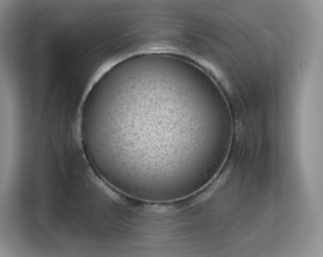 X0000113141374200909110925